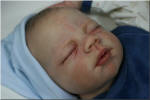 Nils